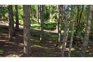 133 Tiki Ln, Drain, OR 97435 - Photo 33