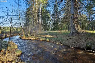 24 Bacon Creek Rd, Glenwood, WA 98619 - Photo 3