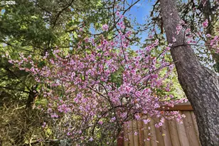 1623 Lincoln St, North Bend, OR 97459 - Photo 33