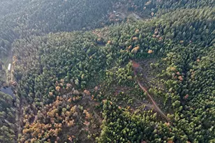 2150 Bridge Ln, Wolf Creek, OR 97497 - Photo 5