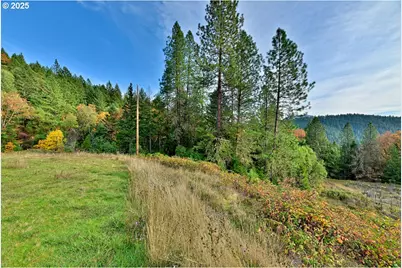 2150 Bridge Ln, Wolf Creek, OR 97497 - Photo 21