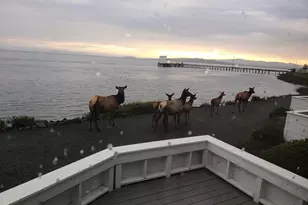 765 5th Ave, Hammond, OR 97121 - Photo 47