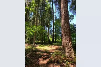 8520 Clear Creek Rd, Mount Hood Prkdl, OR 97041 - Photo 23