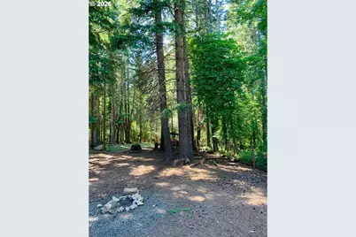 8520 Clear Creek Rd, Mount Hood Prkdl, OR 97041 - Photo 5