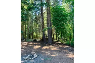 8520 Clear Creek Rd, Mount Hood Prkdl, OR 97041 - Photo 5