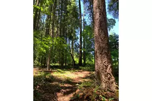 8520 Clear Creek Rd, Mount Hood Prkdl, OR 97041 - Photo 23