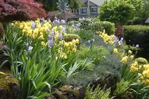 3711 Z St, Washougal, WA 98671 - Photo 25