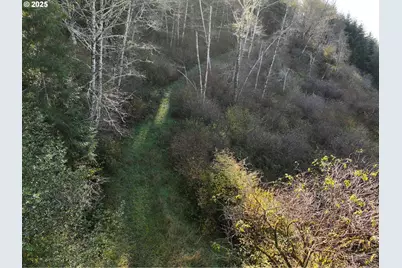 17360 Mountain Dr, Brookings, OR 97415 - Photo 25
