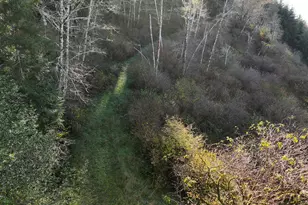 17360 Mountain Dr, Brookings, OR 97415 - Photo 25