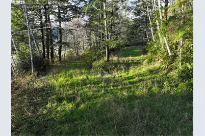 17360 Mountain Dr, Brookings, OR 97415 - Photo 27