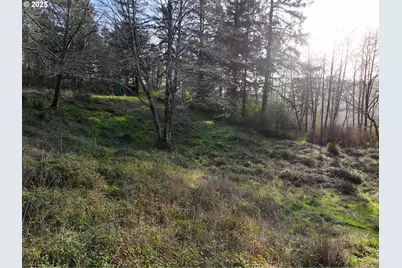 17360 Mountain Dr, Brookings, OR 97415 - Photo 31