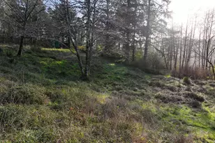 17360 Mountain Dr, Brookings, OR 97415 - Photo 31