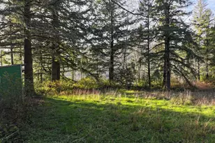17360 Mountain Dr, Brookings, OR 97415 - Photo 29