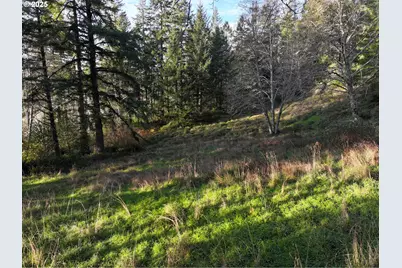 17360 Mountain Dr, Brookings, OR 97415 - Photo 31