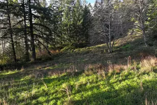 17360 Mountain Dr, Brookings, OR 97415 - Photo 31