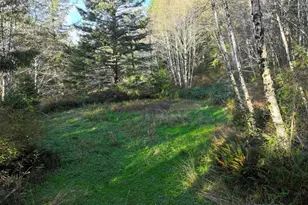 17360 Mountain Dr, Brookings, OR 97415 - Photo 27