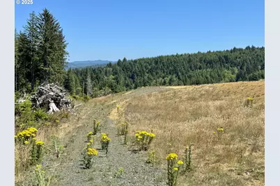 000 Fawn Ln #1203, Coos Bay, OR 97420 - Photo 43