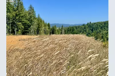 000 Fawn Ln #1203, Coos Bay, OR 97420 - Photo 39