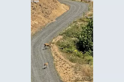 000 Fawn Ln #1203, Coos Bay, OR 97420 - Photo 29