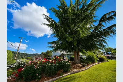 10 SW Peach Ln, Winston, OR 97496 - Photo 23