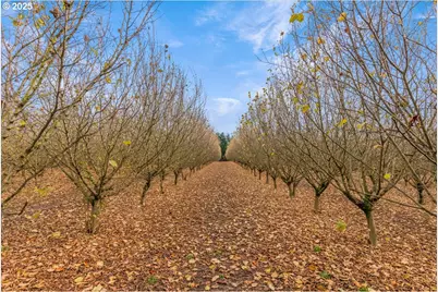 17720 SW Hillsboro Hwy, Hillsboro, OR 97123 - Photo 45