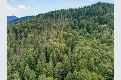 530 Ingalls Ln, Wilderville, OR 97543 - Photo 45