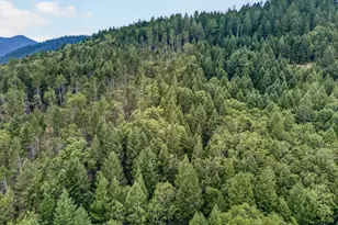 530 Ingalls Ln, Wilderville, OR 97543 - Photo 45