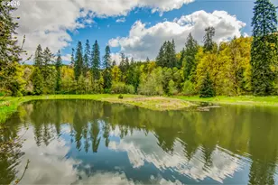 56888 NW Strassel Rd, Forest Grove, OR 97116 - Photo 41