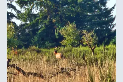 11890 SW Dupee Valley Rd, McMinnville, OR 97128 - Photo 47