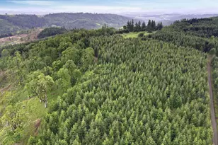 11890 SW Dupee Valley Rd, McMinnville, OR 97128 - Photo 45