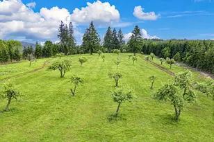 11890 SW Dupee Valley Rd, McMinnville, OR 97128 - Photo 5