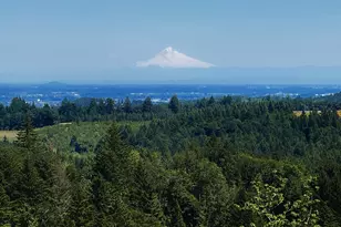11890 SW Dupee Valley Rd, McMinnville, OR 97128 - Photo 9