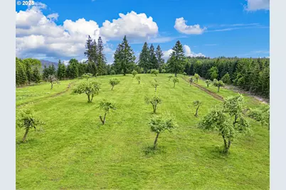 11890 SW Dupee Valley Rd, McMinnville, OR 97128 - Photo 7