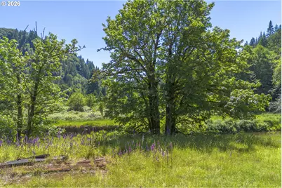 81165 81167 Lower Nehalem Rd, Elsie, OR 97138 - Photo 45
