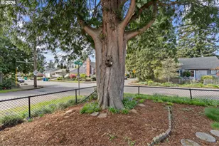 6909 NE Multnomah St, Portland, OR 97213 - Photo 39