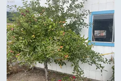 98620 Camellia Dr, Brookings, OR 97415 - Photo 21