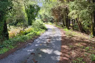 42550 S Mill Pond Rd, Port Orford, OR 97465 - Photo 33