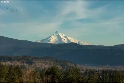 540 N Y St, Washougal, WA 98671 - Photo 27