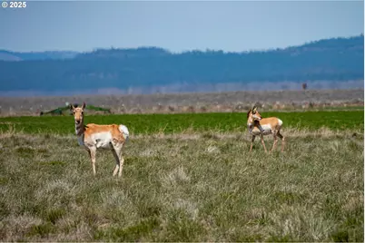 82678 Shotgun Pass Ln, Christmas Valley, OR 97641 - Photo 43