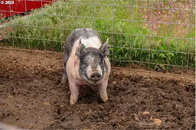 82678 Shotgun Pass Ln, Christmas Valley, OR 97641 - Photo 25