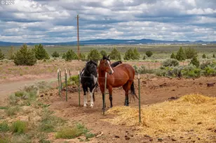 82678 Shotgun Pass Ln, Christmas Valley, OR 97641 - Photo 41
