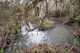 26630 SW Thomson Mill Rd, Sheridan, OR 97378 - Photo 35