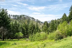 45947 N Gate Creek Rd, Vida, OR 97488 - Photo 35