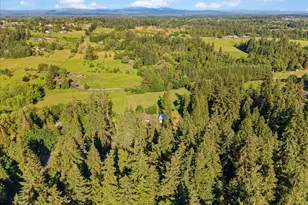 20112 NW Cedar Acres Dr, Ridgefield, WA 98642 - Photo 45