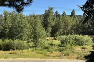622 NE 3rd St, Goldendale, WA 98620 - Photo 5
