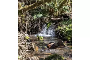 21502 NE 269th St, Battle Ground, WA 98604 - Photo 5