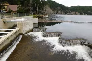 71267 Northshore Dr, Birkenfeld, OR 97016 - Photo 41