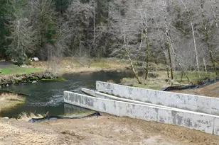 71267 Northshore Dr, Birkenfeld, OR 97016 - Photo 33