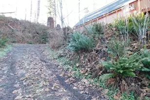 71267 Northshore Dr, Birkenfeld, OR 97016 - Photo 23