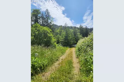 14621 Highway 36, Deadwood, OR 97430 - Photo 3